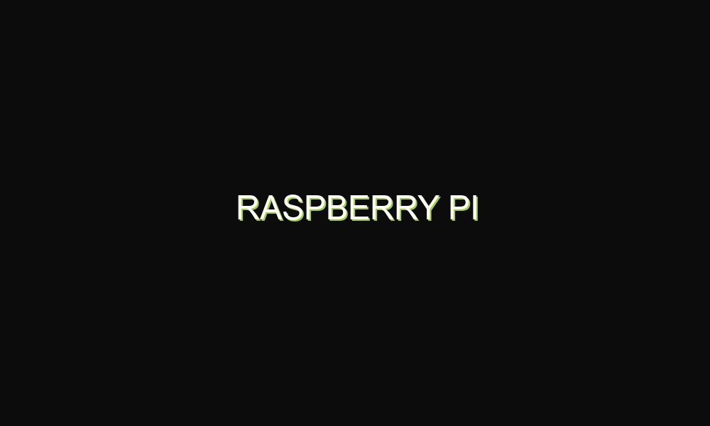 Raspberry Pi
